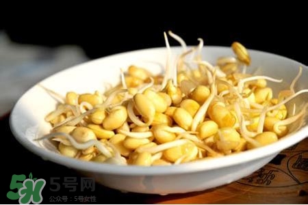 冬天可以發豆芽嗎？冬天怎樣發黃豆芽？