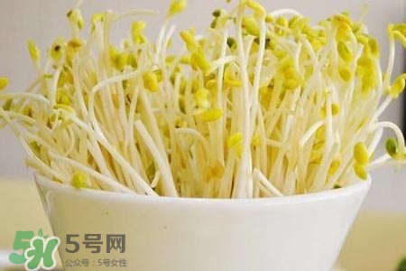 冬天可以發豆芽嗎？冬天怎樣發黃豆芽？