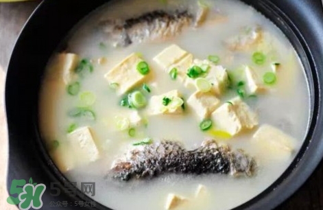 鯽魚豆腐湯的營養價值 鯽魚豆腐湯的功效與作用及做法