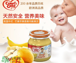 輔食泥哪個牌子好？輔食泥排行榜