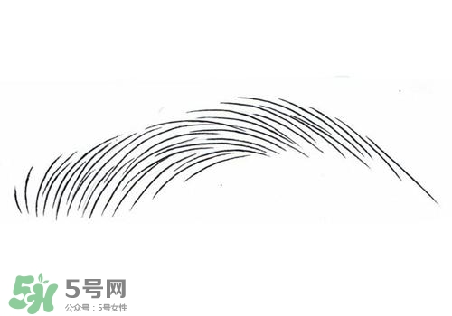 掉眉毛是怎么回事？掉眉毛還會長嗎？