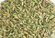 小茴香是孜然嗎？小茴香和孜然的區別