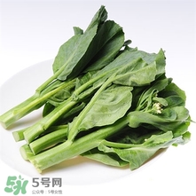 芥蘭是發物嗎?芥蘭是熱性還是涼性