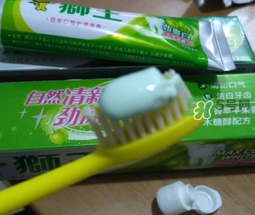 lion獅王是什么牌子？獅王是哪個國家的什么檔次？