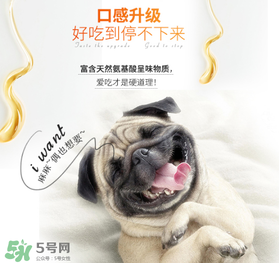 狗狗營養膏什么牌子好？狗狗營養膏多少錢？