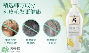 呂護發素不同顏色區別哪種好？呂護發素顏色功效