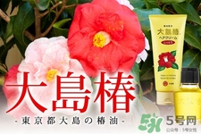 大島椿護發精油能涂臉嗎?大島椿發油的身體護理用法 大島椿護發精油能涂臉嗎?大島椿發油的身體護理用法