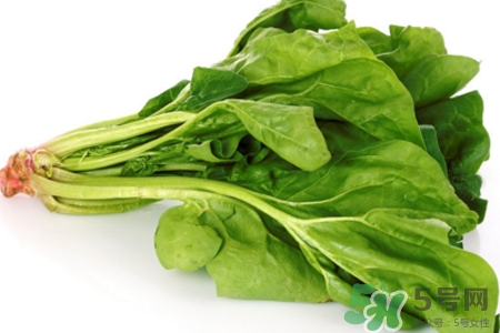 吃菠菜能喝牛奶嗎?菠菜和牛奶能一起吃嗎? 吃菠菜能喝牛奶嗎?菠菜和牛奶能一起吃嗎?