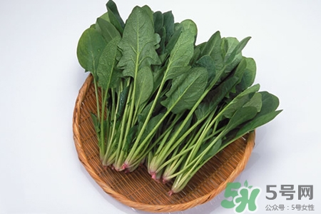 吃菠菜能喝牛奶嗎?菠菜和牛奶能一起吃嗎? 吃菠菜能喝牛奶嗎?菠菜和牛奶能一起吃嗎?
