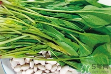 菠菜不能和什么一起吃?菠菜和什么食物相克嗎? 菠菜不能和什么一起吃?菠菜和什么食物相克嗎?