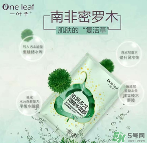 一葉子是哪個國家的？一葉子面膜是哪個國家的？
