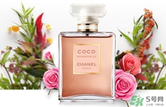 香奈兒黑coco香水和白coco香水哪個好？香奈兒黑可可和白可可選擇