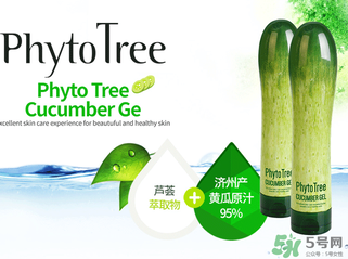 姬存希黃瓜膠多少錢？姬存希黃瓜膠價格