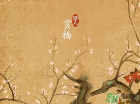 臘八節出生的女寶寶怎么取名？臘八節出生的男寶寶怎么取名？