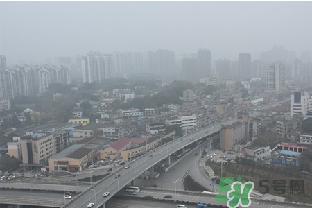 霧霾天吃什么菜清肺？霧霾天白色食物最清肺