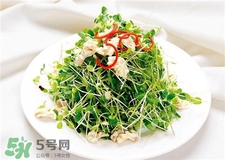 芽苗菜的營養價值 芽苗菜的功效與作用