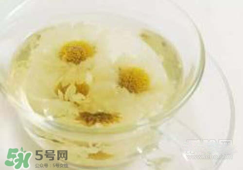 菊花茶什么時候喝最好？菊花茶什么季節喝最好？