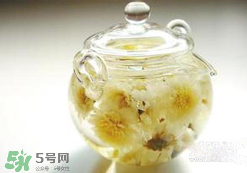 菊花茶什么時候喝最好？菊花茶什么季節喝最好？