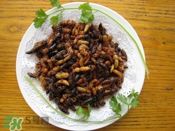 蜂蛹怎么吃最有營養?蜂蛹的功效與作用