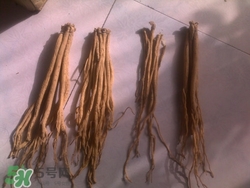 產婦可以吃黨參嗎?產婦吃黨參好嗎