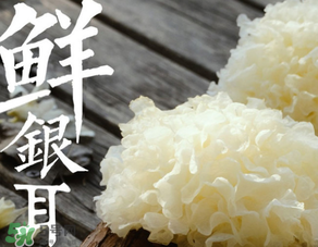 新鮮銀耳有毒嗎？新鮮銀耳怎么去毒？
