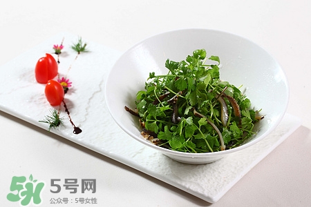 吃海參能長個(gè)嗎?長個(gè)要怎么吃呢