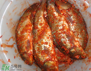 腌魚有亞硝酸鹽嗎？腌魚多久產生亞硝酸鹽？