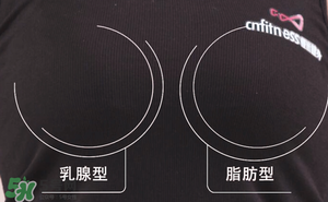 怎么減肥胸部不會變?。繙p肥不減胸的最好辦法