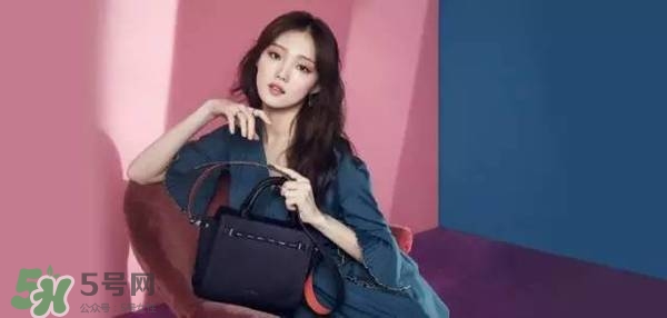 李圣經的包包什么牌子？李圣經包包同款