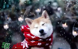 2017年冷空氣什么時(shí)候？2017年冷空氣最新消息