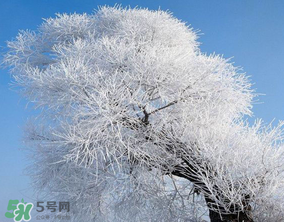 2017年第一場雪什么時候？2017年什么時候下雪？
