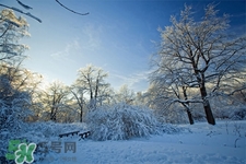 2017年過年天氣怎么樣？2017過年會下雨嗎？