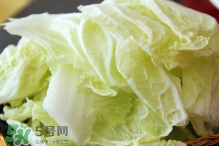 2017過年白菜會漲價嗎？2017年春節白菜價格預測