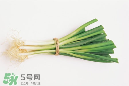 2017過年大蔥會漲價嗎？2017年春節大蔥價格預測
