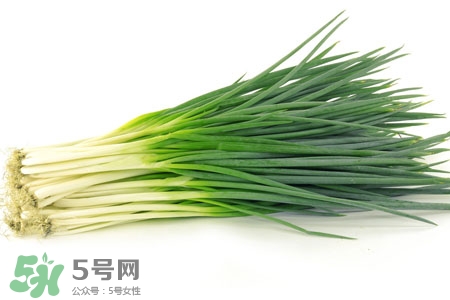 2017過年小蔥會漲價嗎？2017年春節小蔥價格預測