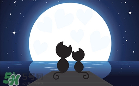 12星座新年開運發色2017 12星座2017開運發色
