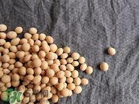 對心臟有益的食物有哪些？對心臟有好處的食物大全