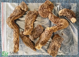 野生肉蓯蓉多少錢(qián)一斤？肉蓯蓉價(jià)格一斤多少錢(qián)？