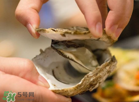 生蠔里面黑色的能吃嗎？生蠔里面黑色的是什么？