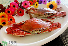 臘月吃什么蟹？臘月吃公蟹還是母蟹？