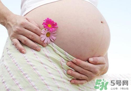 妊娠線每個孕婦都有嗎？妊娠線出現的時間