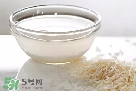 米飯熱量高嗎？吃米飯會胖嗎？