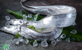 帶魚多少錢一斤？帶魚多少錢一箱？
