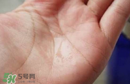 美容液是化妝水嗎？美容液和化妝水的區別