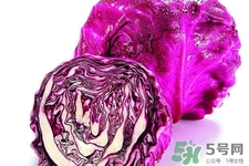 涼拌紫甘藍(lán)用焯水嗎？紫甘藍(lán)涼拌需要焯水嗎？