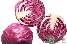紫甘藍熱量高嗎？吃紫甘藍可以減肥嗎？