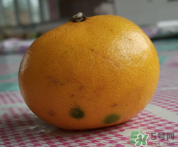 橘子皮發霉可以吃嗎？吃了發霉的橘子怎么辦？