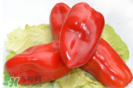 如何挑選紅椒？紅椒怎么挑選？