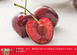 車厘子哪里產(chǎn)的最好？車厘子產(chǎn)地在哪里？