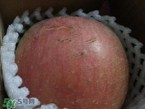 蘋果裂紋能吃嗎？蘋果裂紋是怎么回事？